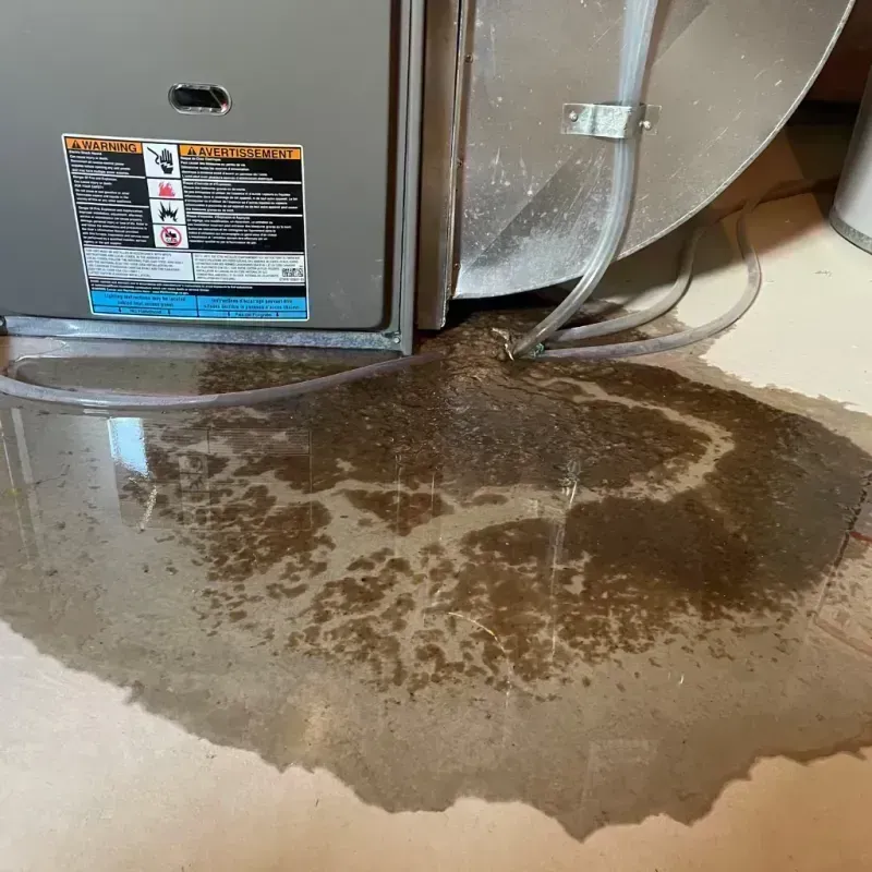 Appliance Leak Cleanup in Kanawha County, WV